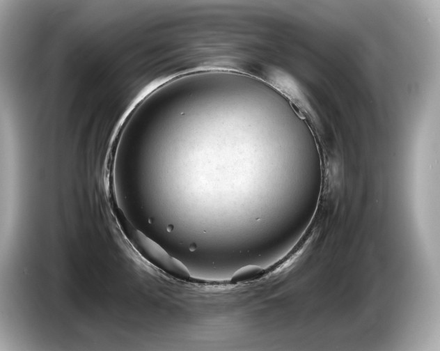 X0000087050908200704181234
