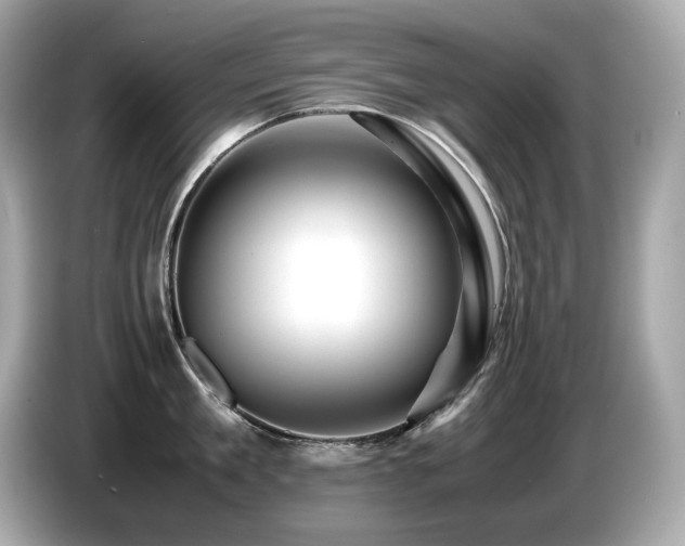 X0000087050909200704181234