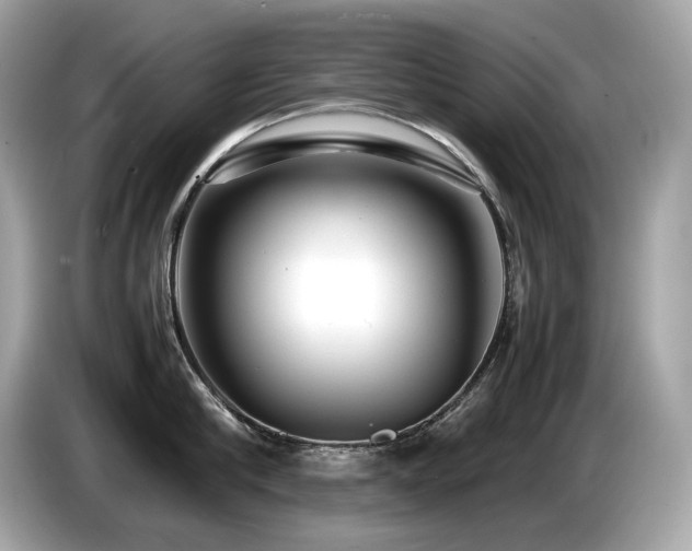 X0000087050910200704181234