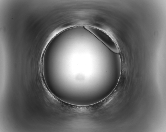 X0000087050911200704181234