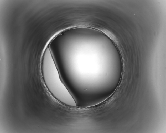 X0000087050912200704181234