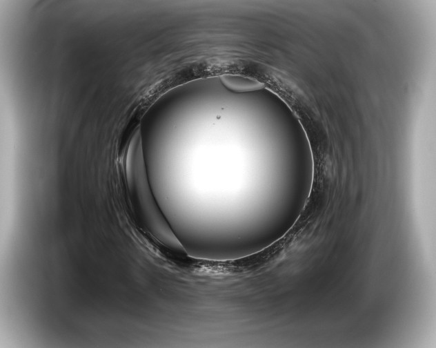 X0000087050914200704181233