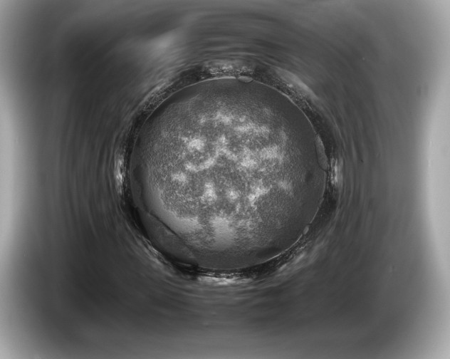 X0000087050915200704181233