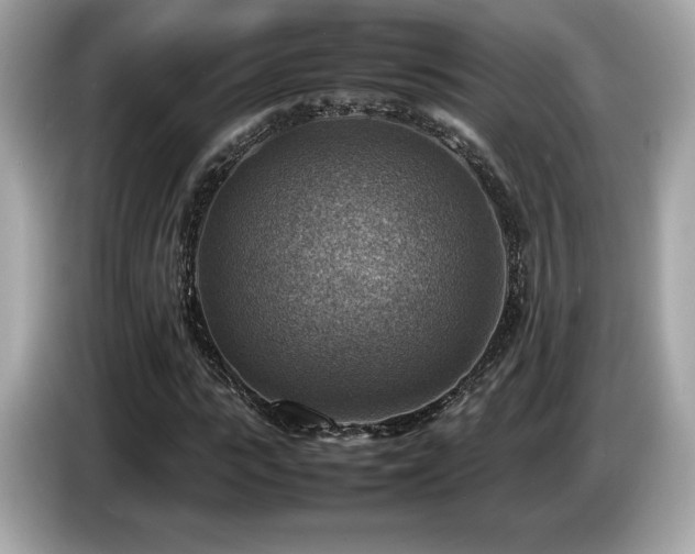 X0000087050919200704181233