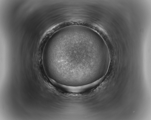 X0000087050920200704181233