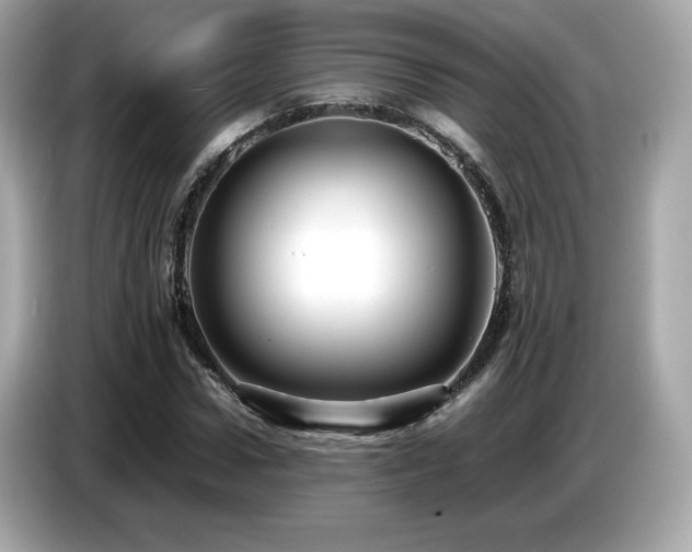 X0000087050922200704181233