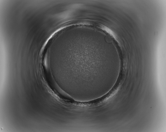 X0000087050923200704181233