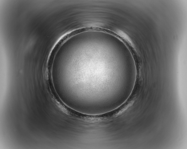 X0000087050924200704181233