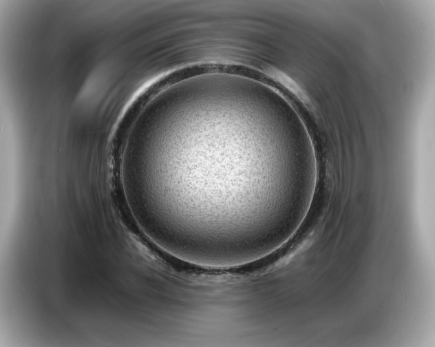 X0000087050926200704181233