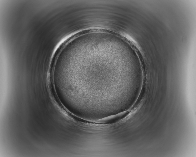 X0000087050928200704181233