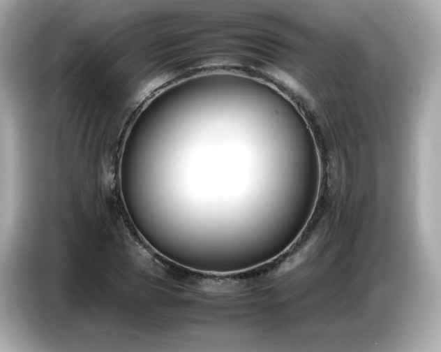 X0000087050929200704181234