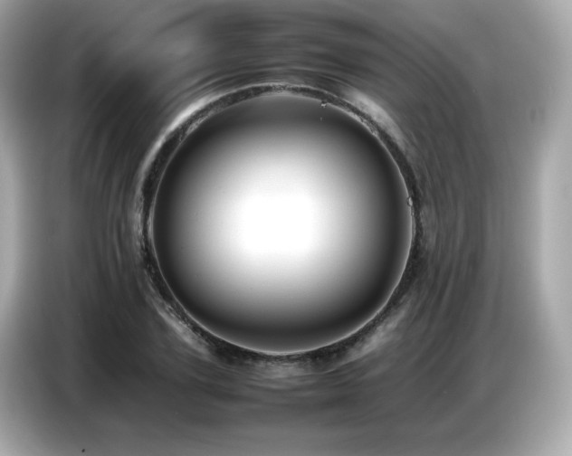 X0000087050931200704181234