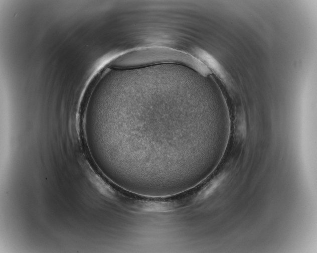 X0000087050932200704181234
