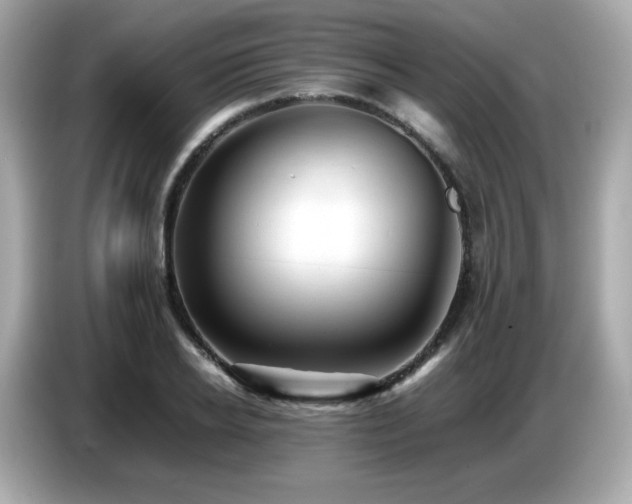 X0000087050934200704181234