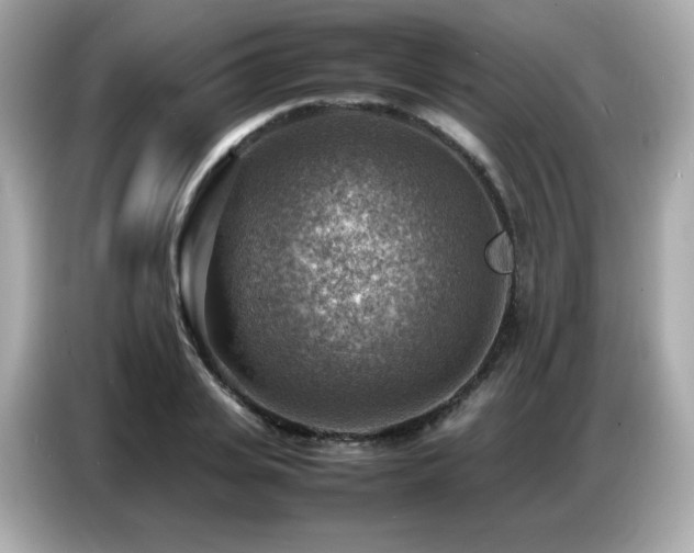 X0000087050935200704181234