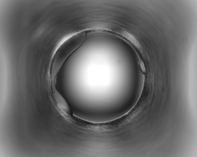 X0000087050936200704181234
