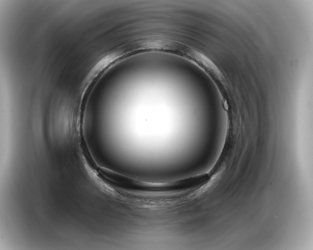 X0000087050938200704181234