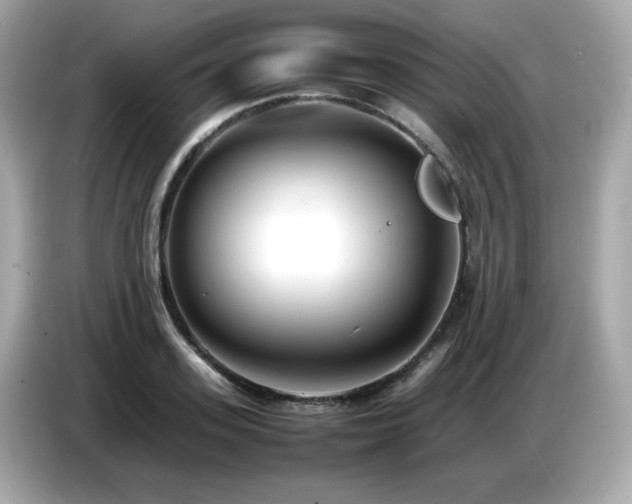 X0000087050939200704181234