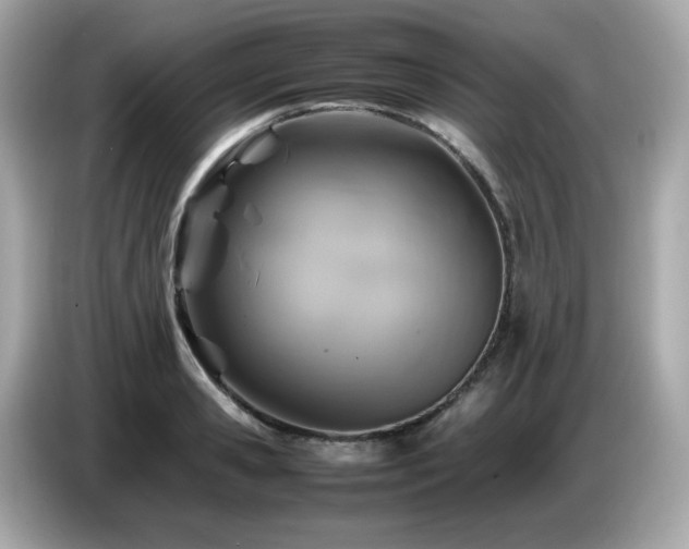 X0000087050941200704181234