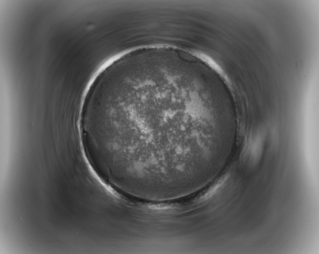 X0000087050943200704181234