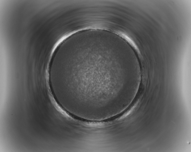 X0000087050944200704181234