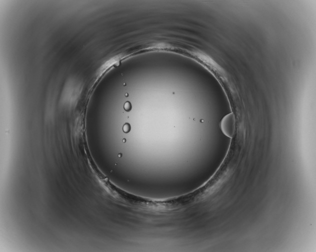X0000087050945200704181234
