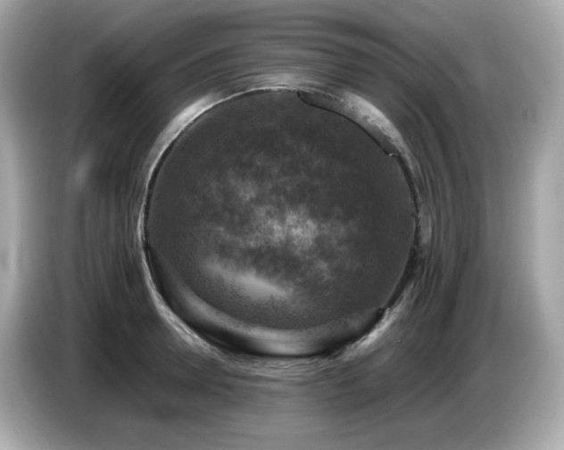 X0000087050946200704181234