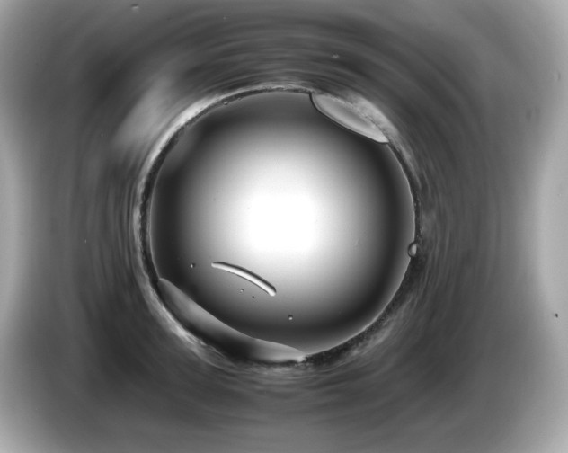 X0000087050947200704181234