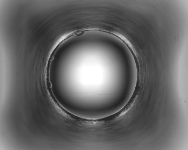 X0000087050949200704181234