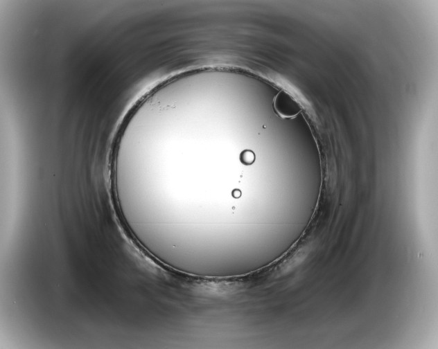 X0000087050950200704181234