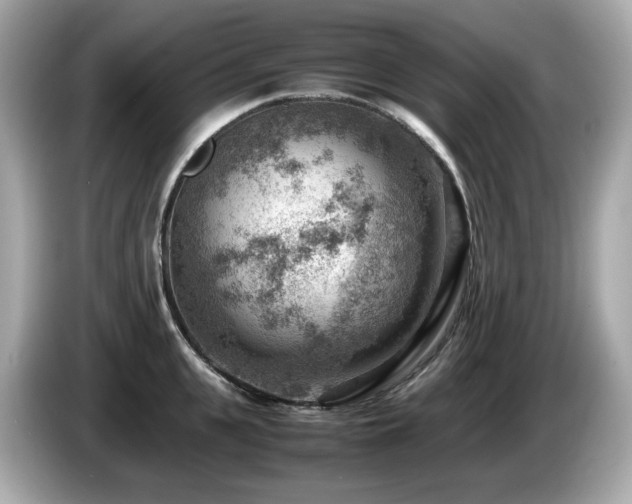 X0000087050951200704181234