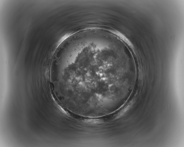 X0000087050953200704181234
