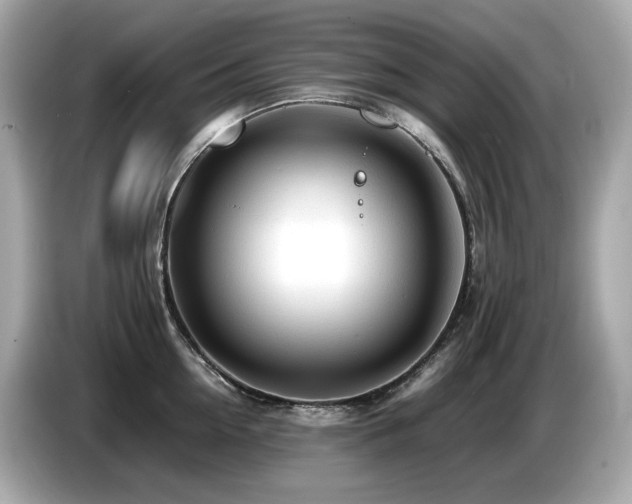 X0000087050954200704181234