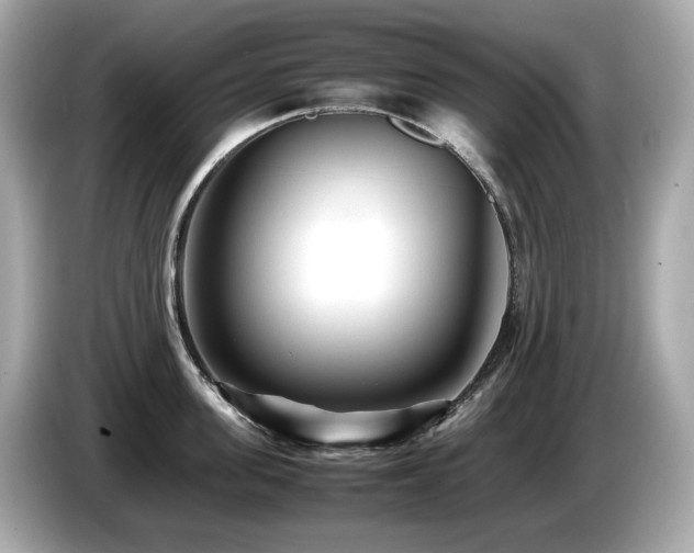 X0000087050955200704181234