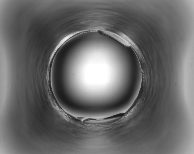 X0000087050956200704181234