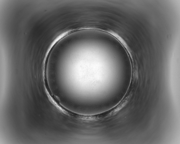 X0000087050957200704181234