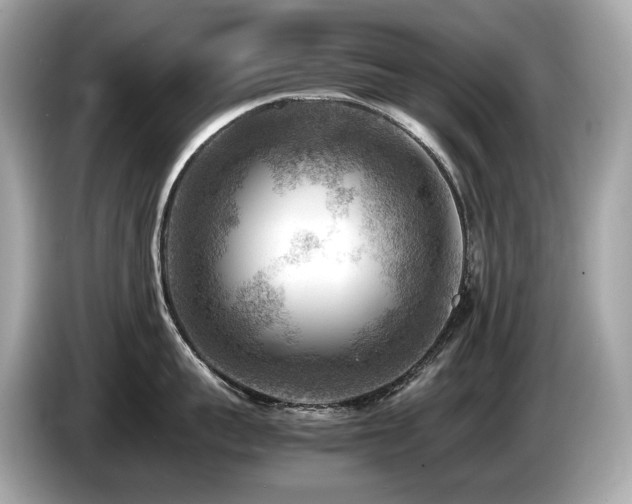 X0000087050959200704181234