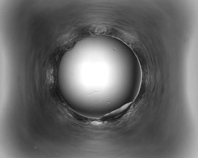 X0000087050962200704181233