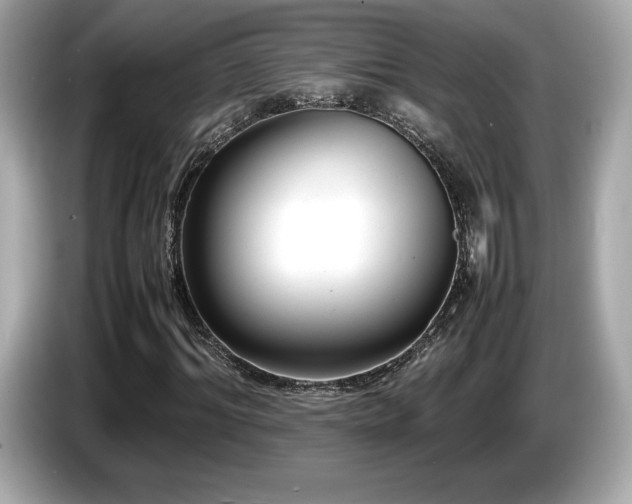 X0000087050964200704181233