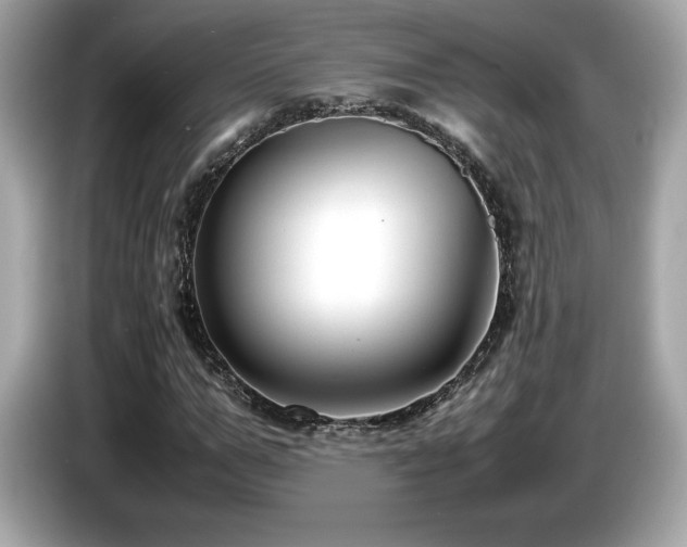 X0000087050967200704181233