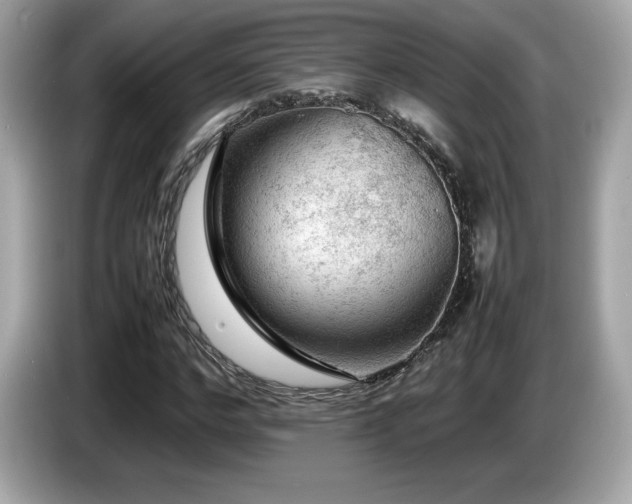 X0000087050968200704181233