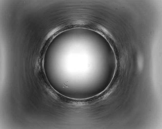 X0000087050970200704181233