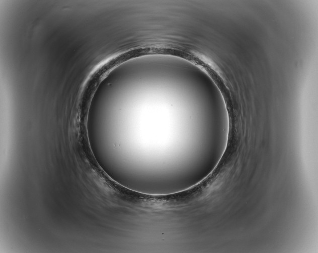 X0000087050971200704181233