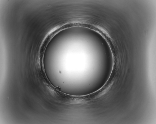 X0000087050974200704181233