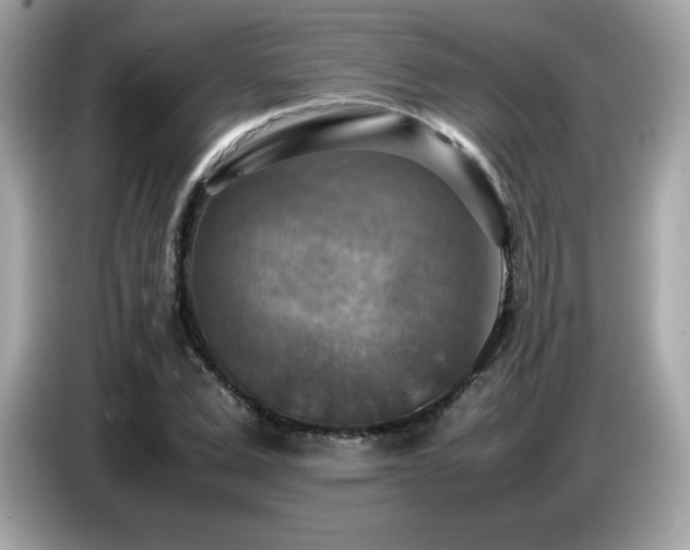 X0000087050975200704181233