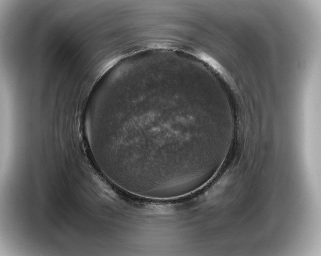 X0000087050977200704181233