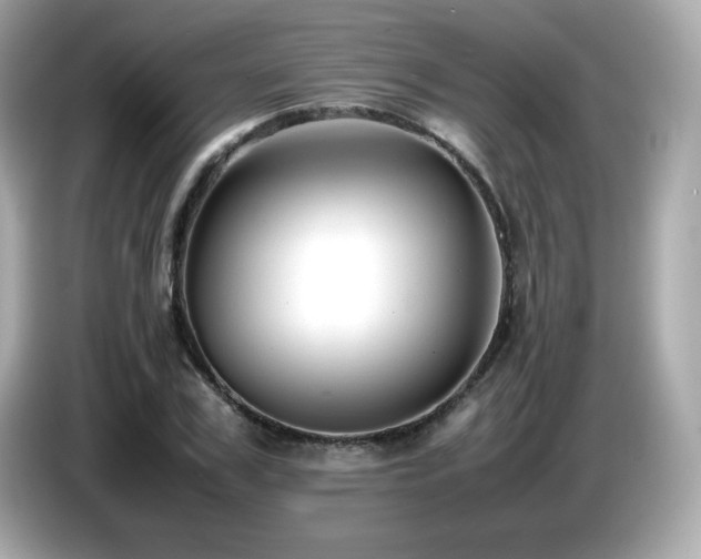 X0000087050979200704181233