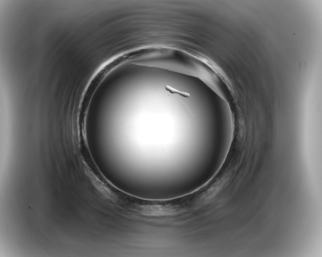 X0000087050980200704181233