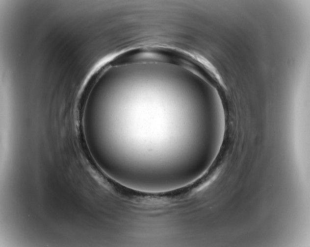 X0000087050981200704181233