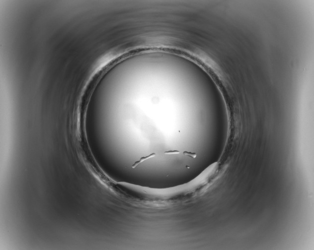 X0000087050982200704181233